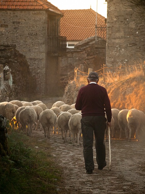 Pertenecemos al Señor